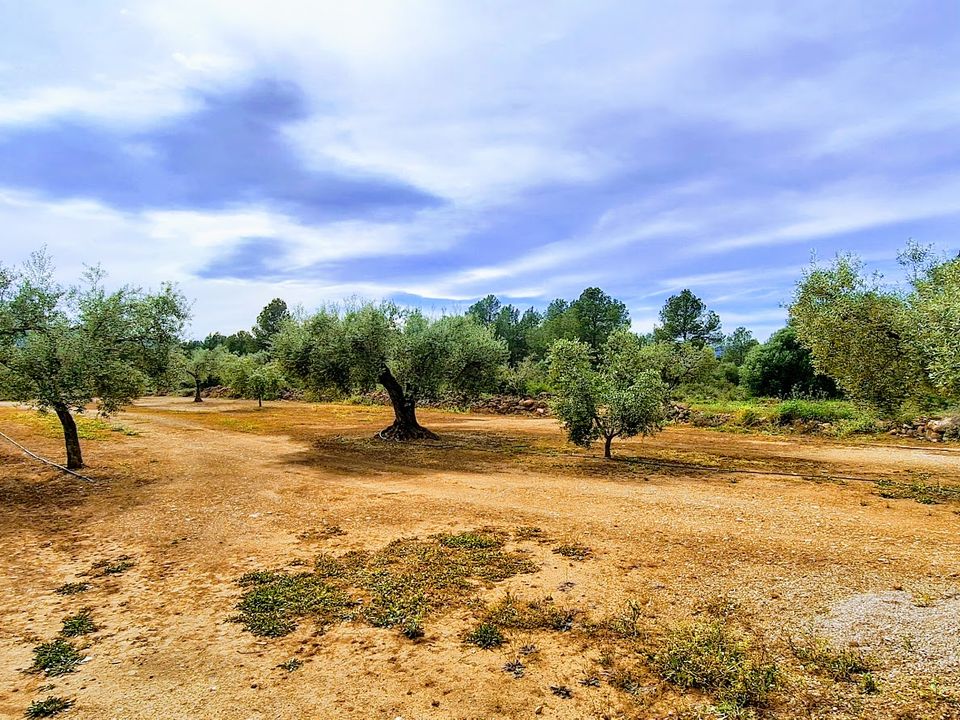Finca i Ginestar, Tarragona - foto 3